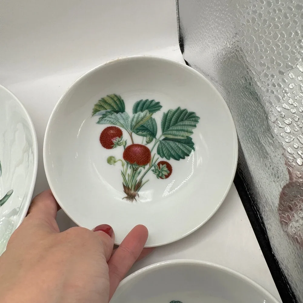 Kaiser Fruit Bowl Set Vintage West Germany Serving Berry Botanical Set of 6
